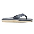 画像5: ISLAND SLIPPER（アイランドスリッパ）PT202 レザートングサンダル/Navy（ネイビー） (5)