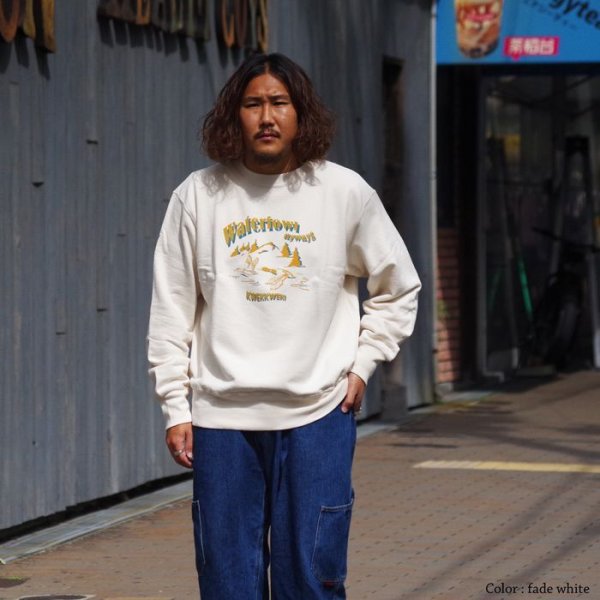 画像14: FilMelange(フィルメランジェ)VANCE(ヴァンス)"ヴィンテージムラ染め裏毛" / Fade White(フェードホワイト)・Fade Green(フェードグリーン) (14)