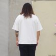 画像13: alvana（アルヴァナ）空紡 SHORT SLEEVE TEE SHIRTS（空紡ショートスリーブTシャツ）/White（ホワイト）・Leaf Pink（リーフピンク） (13)