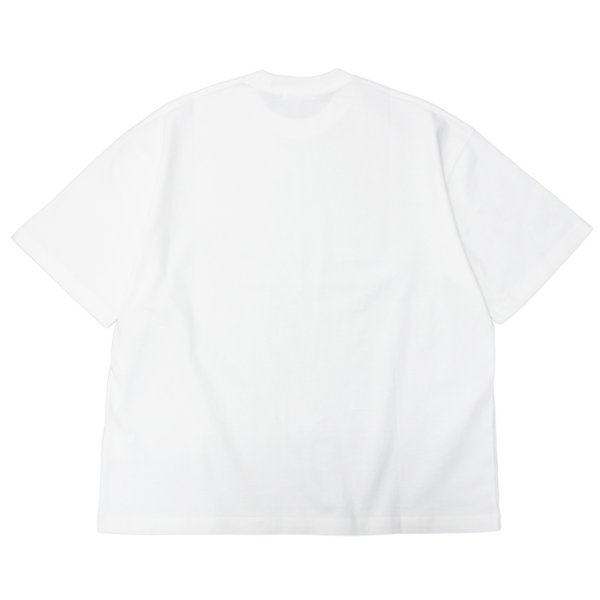 画像3: alvana（アルヴァナ）空紡 SHORT SLEEVE TEE SHIRTS（空紡ショートスリーブTシャツ）/White（ホワイト）・Leaf Pink（リーフピンク） (3)