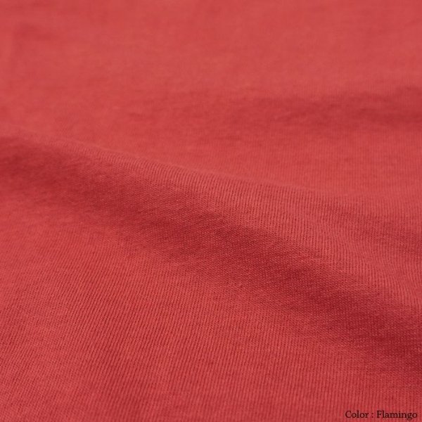 画像10: Good On(グッドオン)80's Ringer Tee(80'sリンガーTシャツ)"Reactive Dye" / Old Gold(オールドゴールド)・Flamingo(フラミンゴ) (10)