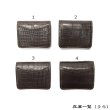 画像9: WILD SWANS（ワイルドスワンズ）Palm（パーム）コンパクトウォレット/チョコ"クロコダイル"×グリーン"ブッテーロ" (9)