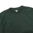画像3: FilMelange（フィルメランジェ）ELMER（エルマー）"エクストラミニ裏毛" / Dark Green（ダークグリーン） (3)