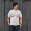 画像11: felco（フェルコ） HI-CREW NECK S/S T-SHIRTS（ハイクルーネック S/S Tシャツ）”CORNELL UNIVERSITY PRINT" / White（ホワイト）・Lt Grey（ライトグレー） (11)