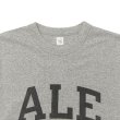 画像2: blurhmsROOTSTOCK（ブラームスルーツストック）ALE-Y 88-12 Print Tee ”WIDE”（88-12プリントTシャツ"ワイド"）/ Heather Grey（ヘザーグレー） (2)