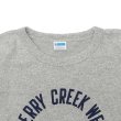 画像3: Champion（チャンピオン）77QS SHORT SLEEVE T-SHIRT（77QS ショートスリーブTシャツ）"TURE OF ARCHIVES" / Grey×Blue（グレー×ブルー） (3)
