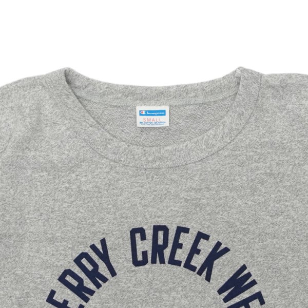 画像3: Champion(チャンピオン)77QS SHORT SLEEVE T-SHIRT(77QS ショートスリーブTシャツ)"TURE OF ARCHIVES" / Grey×Blue(グレー×ブルー) (3)