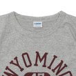 画像3: Champion（チャンピオン）77QS SHORT SLEEVE T-SHIRT（77QS ショートスリーブTシャツ）"TURE OF ARCHIVES" / Grey×Red（グレー×レッド） (3)