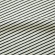 画像6: *A VONTADE（アボンタージ）Compact Border Half Zip Polo SS（コンパクトボーダーハーフジップポロ）/ Ecru×Marine（エクリュ×マリン） (6)