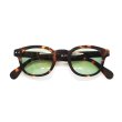 画像1: IZIPIZI（イジピジ）#C SUN "Light Green" / Tortoise（トータス） (1)