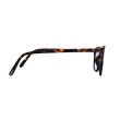 画像4: IZIPIZI（イジピジ）#E SUN"LIGHT COLOR"/Tortoise（トータス） (4)
