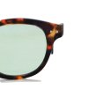 画像6: IZIPIZI（イジピジ）#C SUN "Light Green" / Tortoise（トータス） (6)