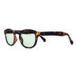 画像3: IZIPIZI（イジピジ）#C SUN "Light Green" / Tortoise（トータス） (3)