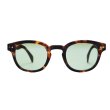 画像2: IZIPIZI（イジピジ）#C SUN "Light Green" / Tortoise（トータス） (2)