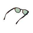 画像5: IZIPIZI（イジピジ）#C SUN "Light Green" / Tortoise（トータス） (5)