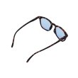 画像5: IZIPIZI（イジピジ）#E SUN"LIGHT COLOR"/Tortoise（トータス） (5)