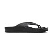 画像1: BIRKENSTOCK（ビルケンシュトック）HONOLULU（ホノルル）EVA / Black（ブラック） (1)
