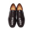 画像4: SANDERS（サンダース）Military Derby Shoe（ミリタリーダービーシューズ）/Burgundy（バーガンディ） (4)