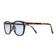 画像4: IZIPIZI（イジピジ）#E SUN "LIGHT COLOR" / Black×Lt,Grey（ブラック×ライトグレー）・（Tortoise×Lt,Blue（トータス×ライトブルー） (4)
