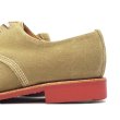 画像6: SANDERS（サンダース）Officer Shoe（オフィサーシューズ）"Suede Leather" / Dirty Buck（ダーティバックス） (6)