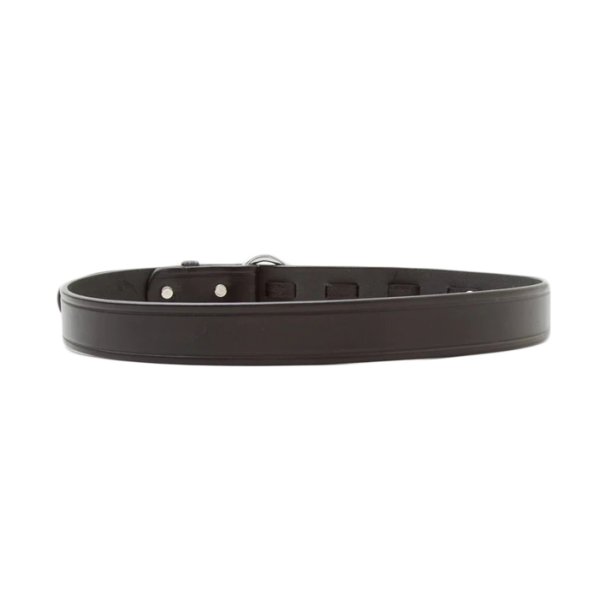 画像2: TORY LEATHER（トリーレザー）11/4 Hoop Pick Belt（フープピックベルト）/ Black×Nickel（ブラック×ニッケル） (2)