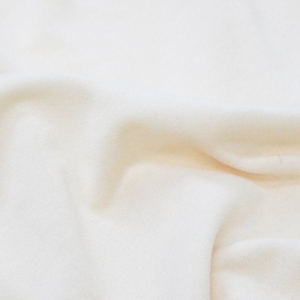 画像8: L.L.Bean Japan Edition（エルエルビーン ジャパンエディション）Dover Foxcroft Short-Sleeve Tee（ドーバーフォックロフトショーロスリーブT）/ #91 White（ホワイト）”Painted Tuetle" (8)