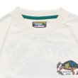 画像5: L.L.Bean Japan Edition（エルエルビーン ジャパンエディション）Dover Foxcroft Short-Sleeve Tee（ドーバーフォックロフトショーロスリーブT）/ #91 White（ホワイト）”Painted Tuetle" (5)