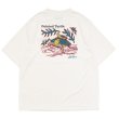 画像2: L.L.Bean Japan Edition（エルエルビーン ジャパンエディション）Dover Foxcroft Short-Sleeve Tee（ドーバーフォックロフトショーロスリーブT）/ #91 White（ホワイト）”Painted Tuetle" (2)