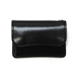 画像1: WILD SWANS（ワイルドスワンズ）TONGUE(EYELET)（タング アイレット）マルチコインケース"サドルプルアップ"/Black（ブラック） (1)