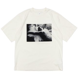 blurhms ROOTSTOCK（ブラームスルーツストック） Print Tee STANDARD