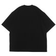 画像6: alvana（アルヴァナ）空紡 SHORT SLEEVE TEE SHIRTS（空紡ショートスリーブTシャツ）/ 4Colors（全4色展開） (6)