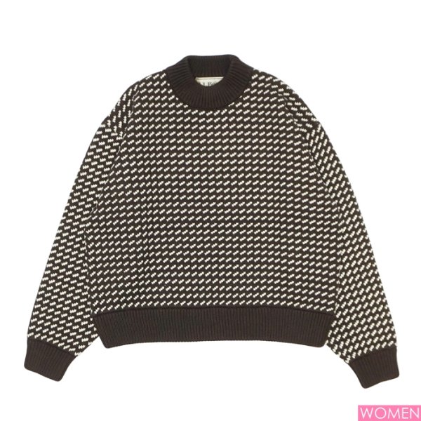 画像1: L.L.Bean Japan Edition（エルエルビーン ジャパンエディション）W's Wayne Sweater Bard's-Eye（ウィメンズ ウェインセーターバーズアイ） / Brown×Natural（ブラウン×ナチュラル） (1)