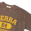 画像4: SIERRA DESIGNS（シエラデザインズ）SIERRA 64 SWEAT（シエラ64スウェット） / Brown×Mustard（ブラウン×マスタード） (4)