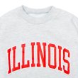 画像3: Sloppy Supply（スラッピーサプライ）NEO VINTAGE SWEAT（ネオヴィンテージスウェット）"ILLINOIS" / A,Gray White×Orange（アッシュグレーホワイト×オレンジ） (3)